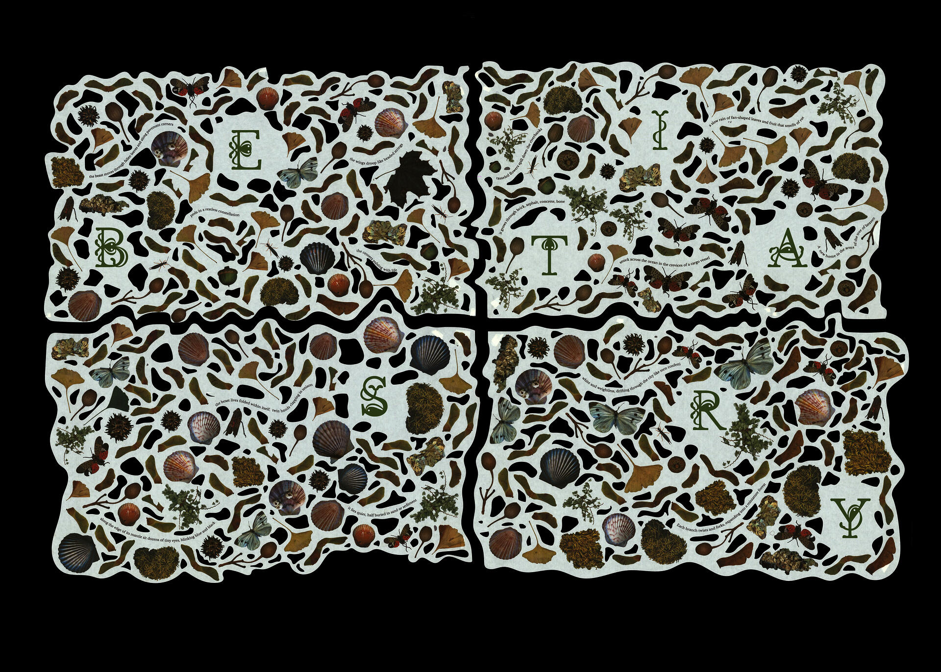 Four interlocking posters with irregular, organically shaped edges, densely populated with scanned images of ground-level flora and fauna including ginkgo leaves, maple seeds, seashells, lichens, berries, butterflies, and lanternflies. Large decorative letterforms spelling BESTIARY in green are scattered across each panel, alongside curved lines of text. The space between images is pierced with irregular laser-cut holes.