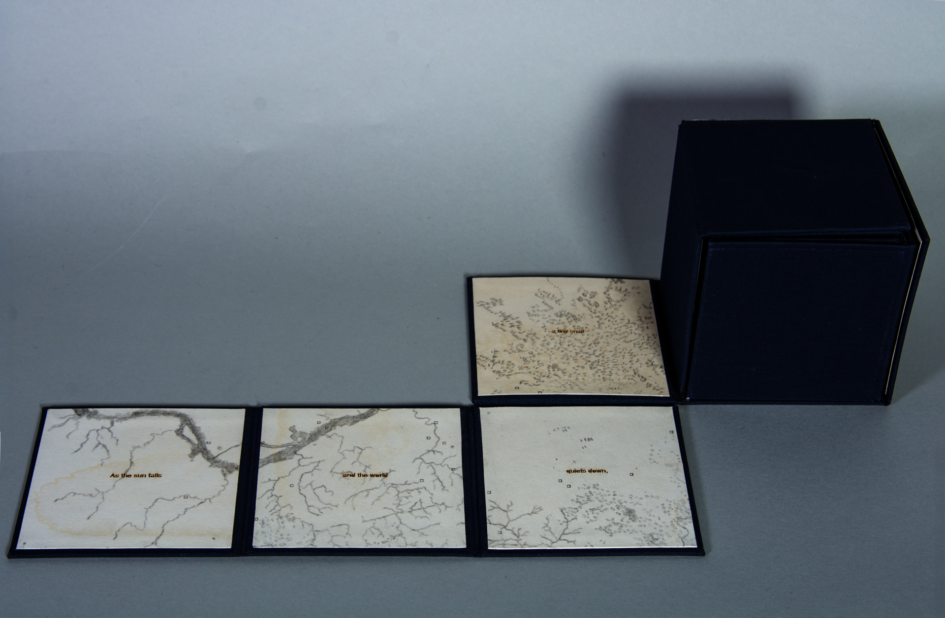 Four tan squares with graphite drawings and laser cut text are formatted in an “L” shape and connected to a cube covered in navy book cloth. They are the beginning narrative pages of the unfolded cube.