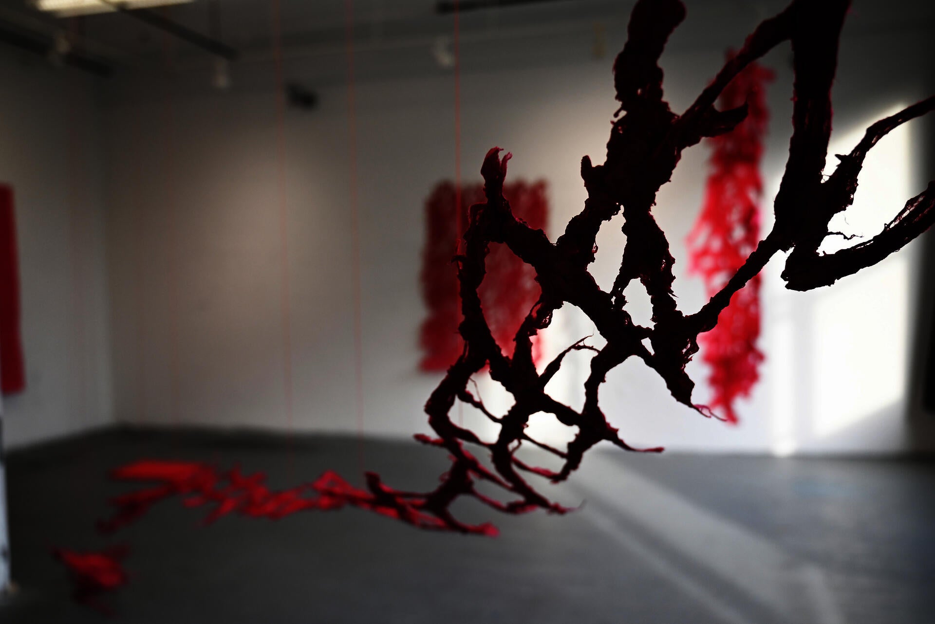 Details of suspended red kozo bark forms, with blurred red pulp installations in the gallery background.