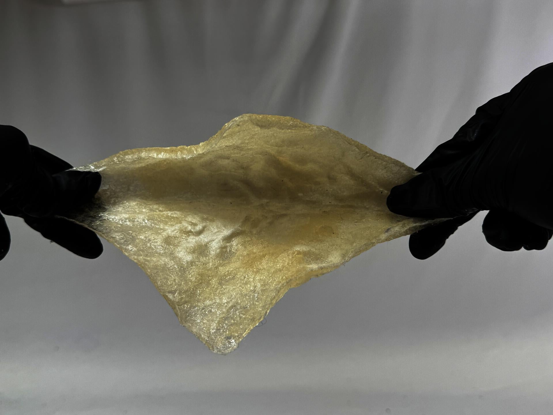 A simple tensile test on bioplastics made primarily from wool and gelatin. 6 inches by 6 inches. A qualitative study of the material through the manipulation of variables.