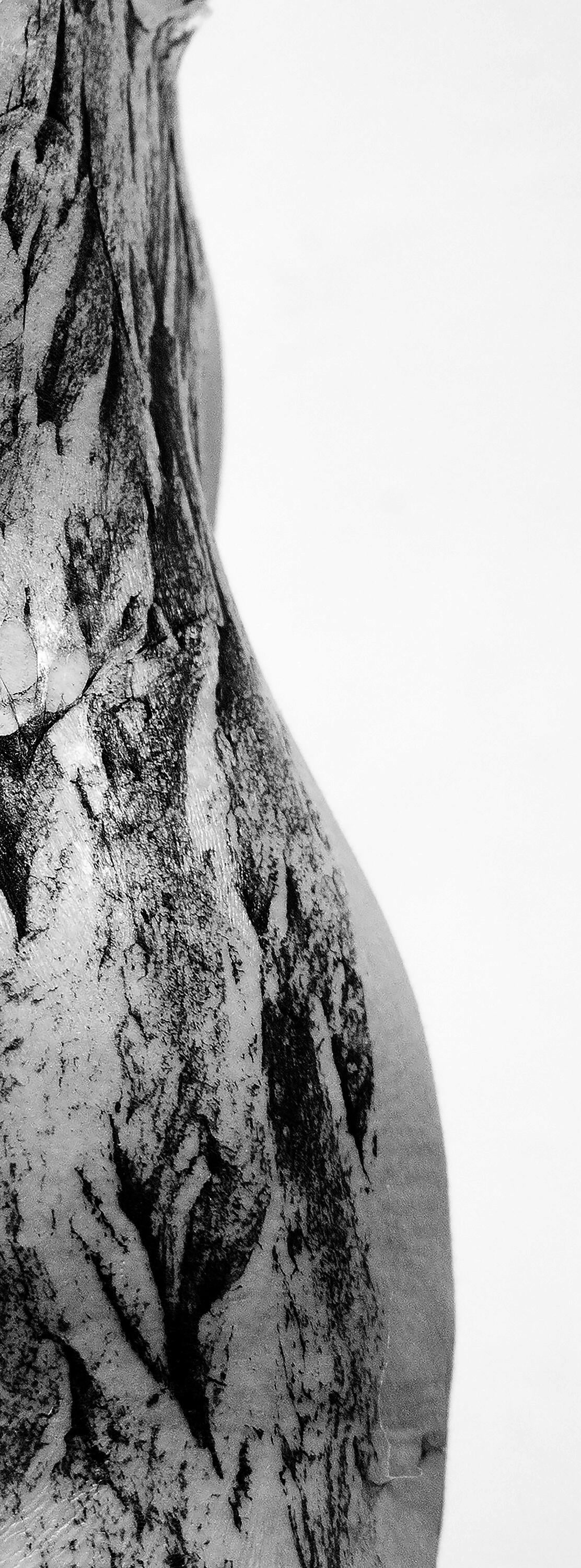 A black and white photograph of the side of a human waist. The waist extends from beyond the top and bottom of the photograph, covered in a flat texture of tree bark. 
