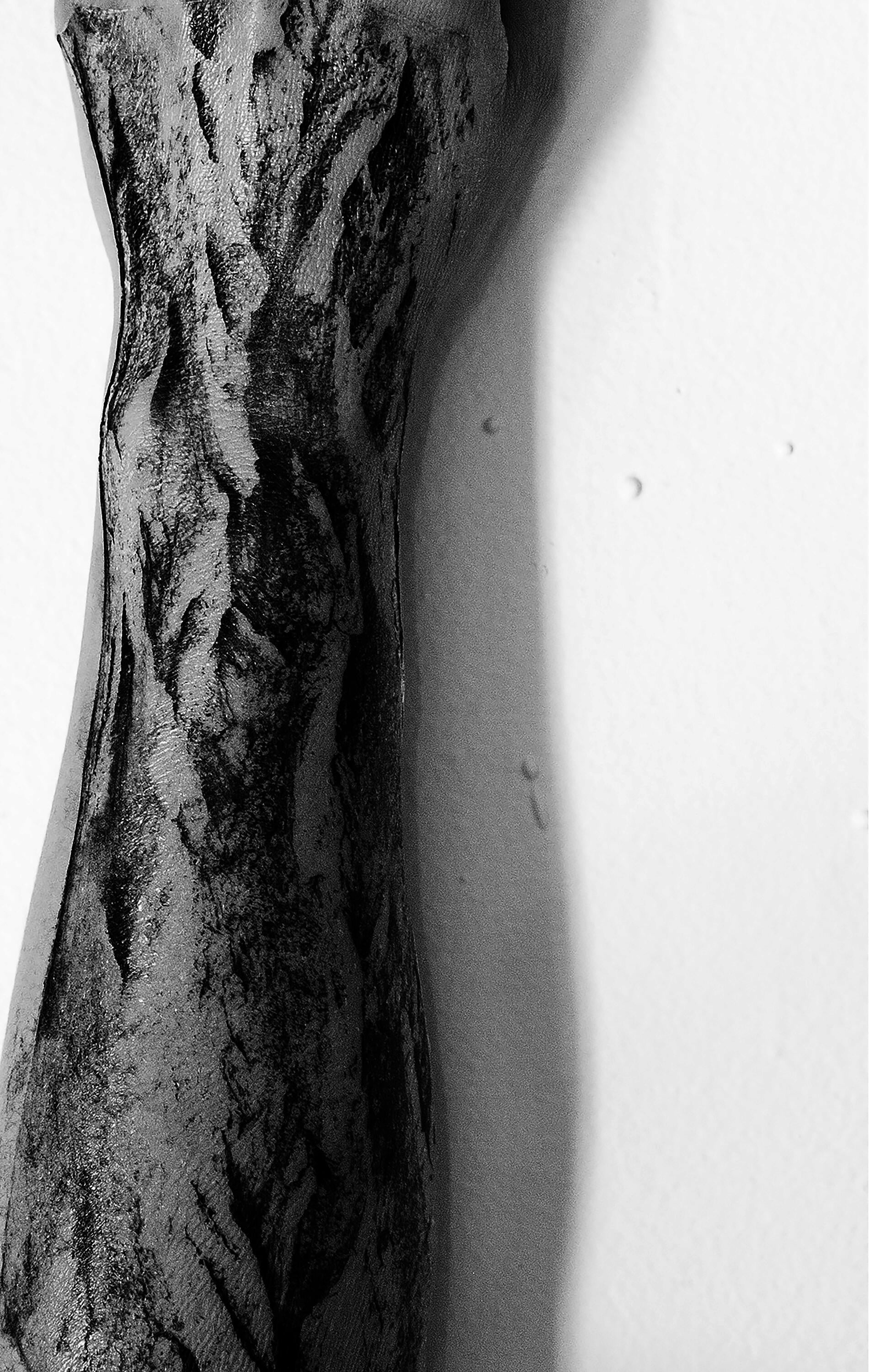 A black and white photograph of a human forearm that extends from the top to the bottom of the photo. The arm is covered in a flat texture of tree bark. 