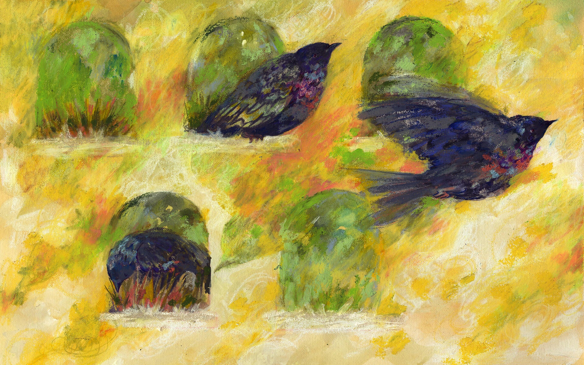 Three pigeons inhabit five arched doorway-like homes; one nests, one looks upward, and one flies toward the right-hand side of the page.