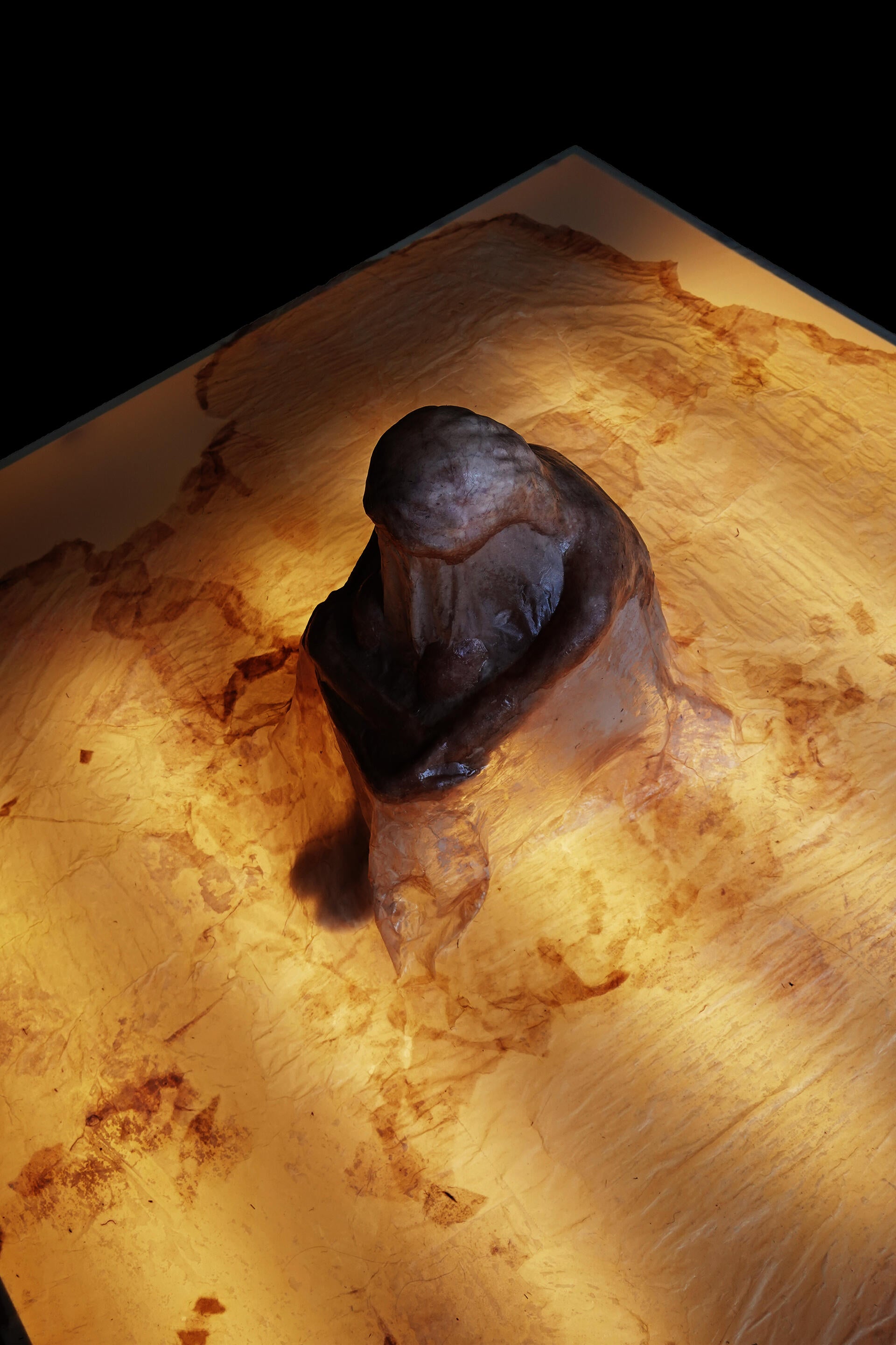 Lost in the Current is an installation work consisting of a 3D-scanned and -printed Styrofoam core, covered with handmade paper painted with watercolor strokes, and shrouded by a larger sheet of handmade paper. 