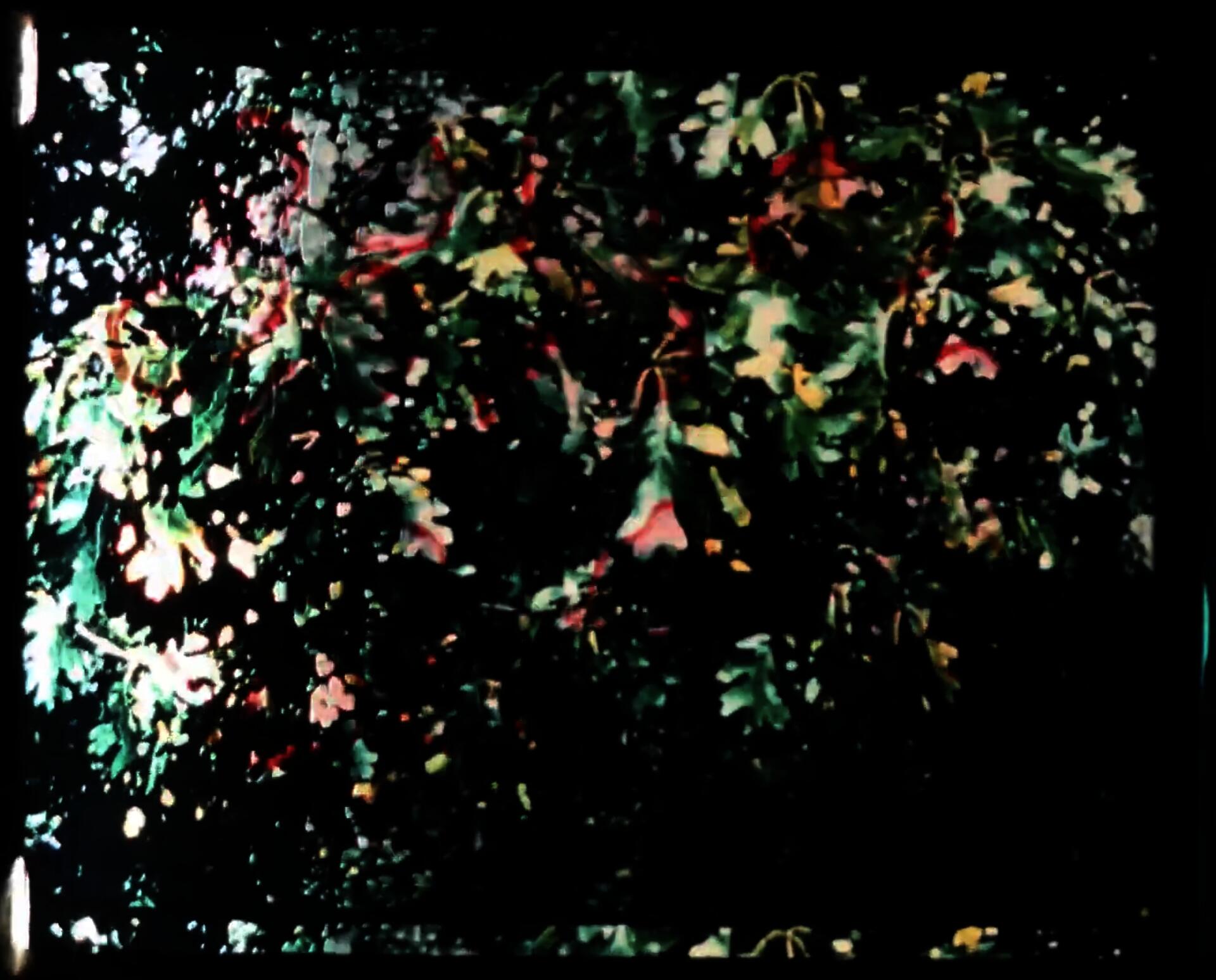 From Nayyab Naveed's experimental film Nurs Shehtoot (2025)