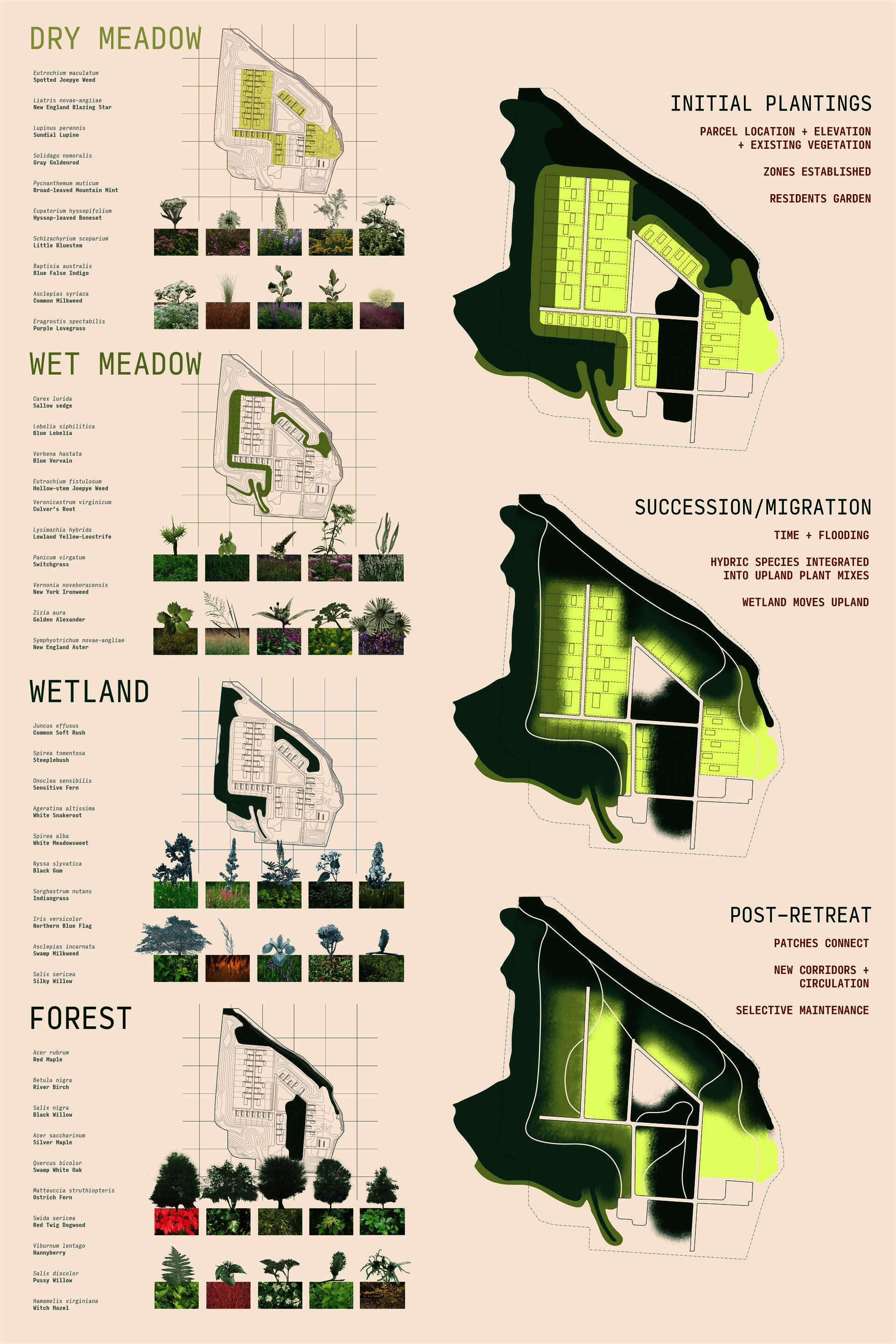 A set of diagrams showing a plan view of my thesis site, and where plants are located.