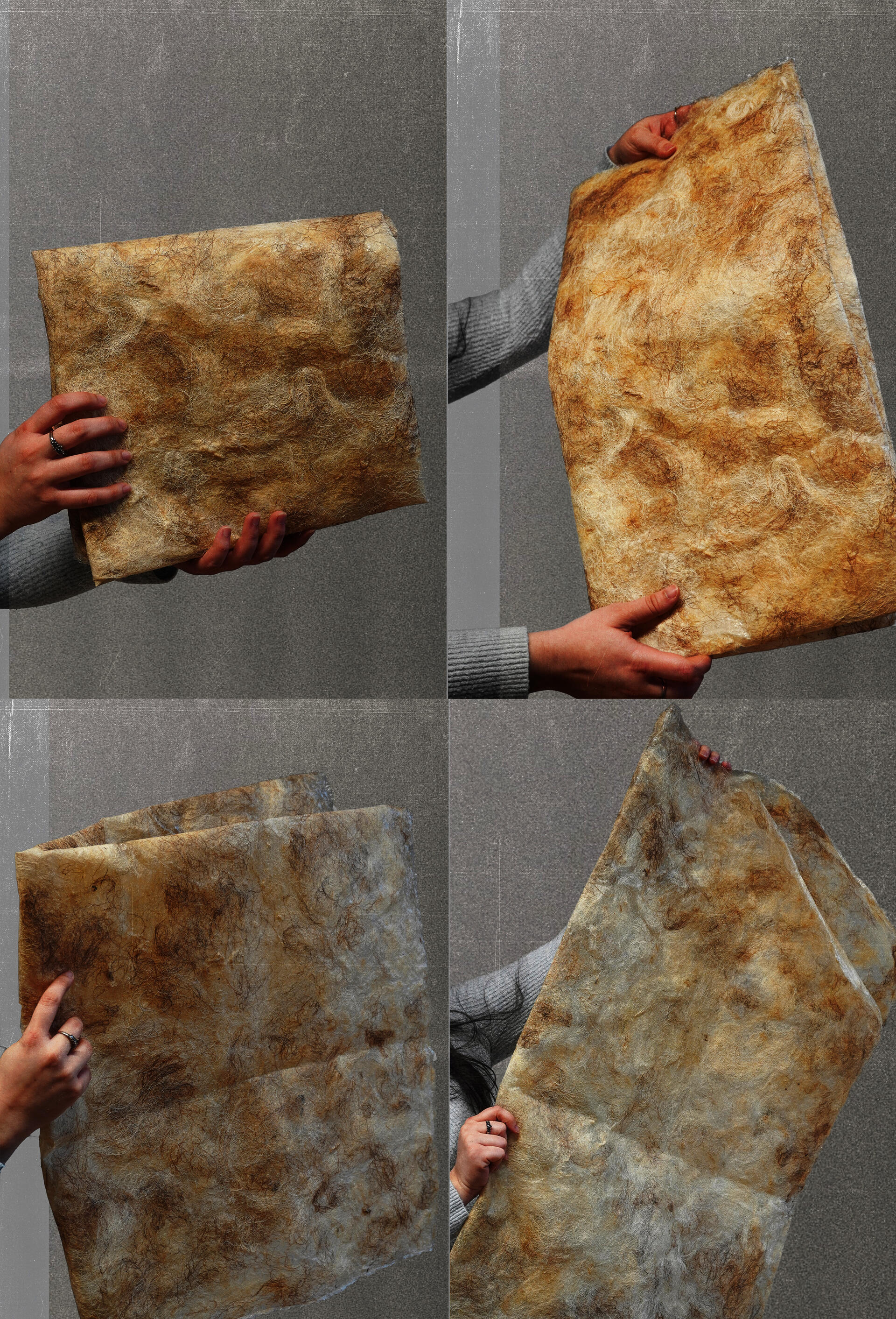 A four-panel grid showing hands holding and manipulating a handmade composite sheet of raw wool and sodium alginate. The sheet/skin is thin and flexible, with mottled beige, cream, and brown tones and visible fibers embedded