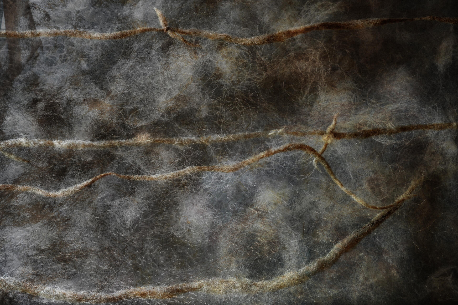 A close-up of a translucent raw wool skin with thin, irregular felted strands of fiber running horizontally across the image. The material appears soft and gauzy, with pale gray, cream, and muted brown tones.