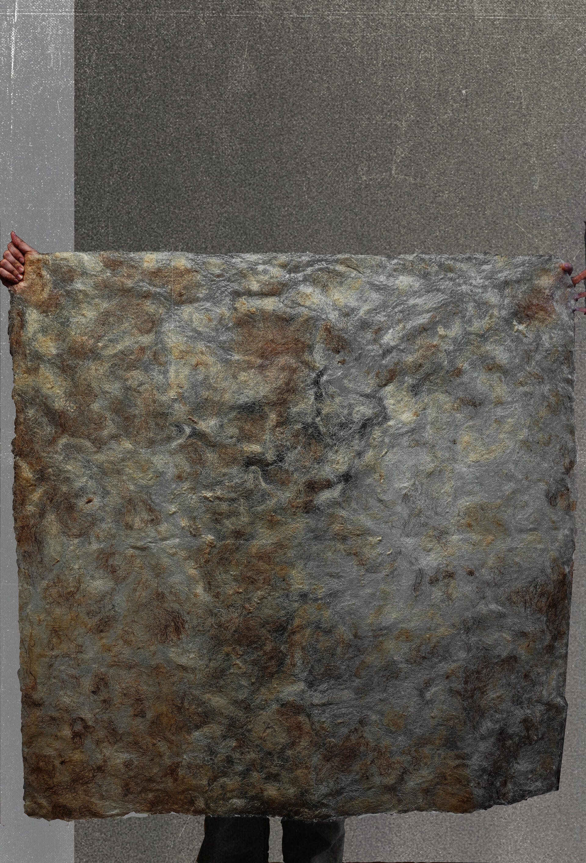 A fully unfolded 4-by-4-foot sheet of raw wool and sodium alginate is displayed flat, revealing its full scale. The material appears thin and semi-translucent, with soft variations of cream, beige, and brown fibers dispersed unevenly across