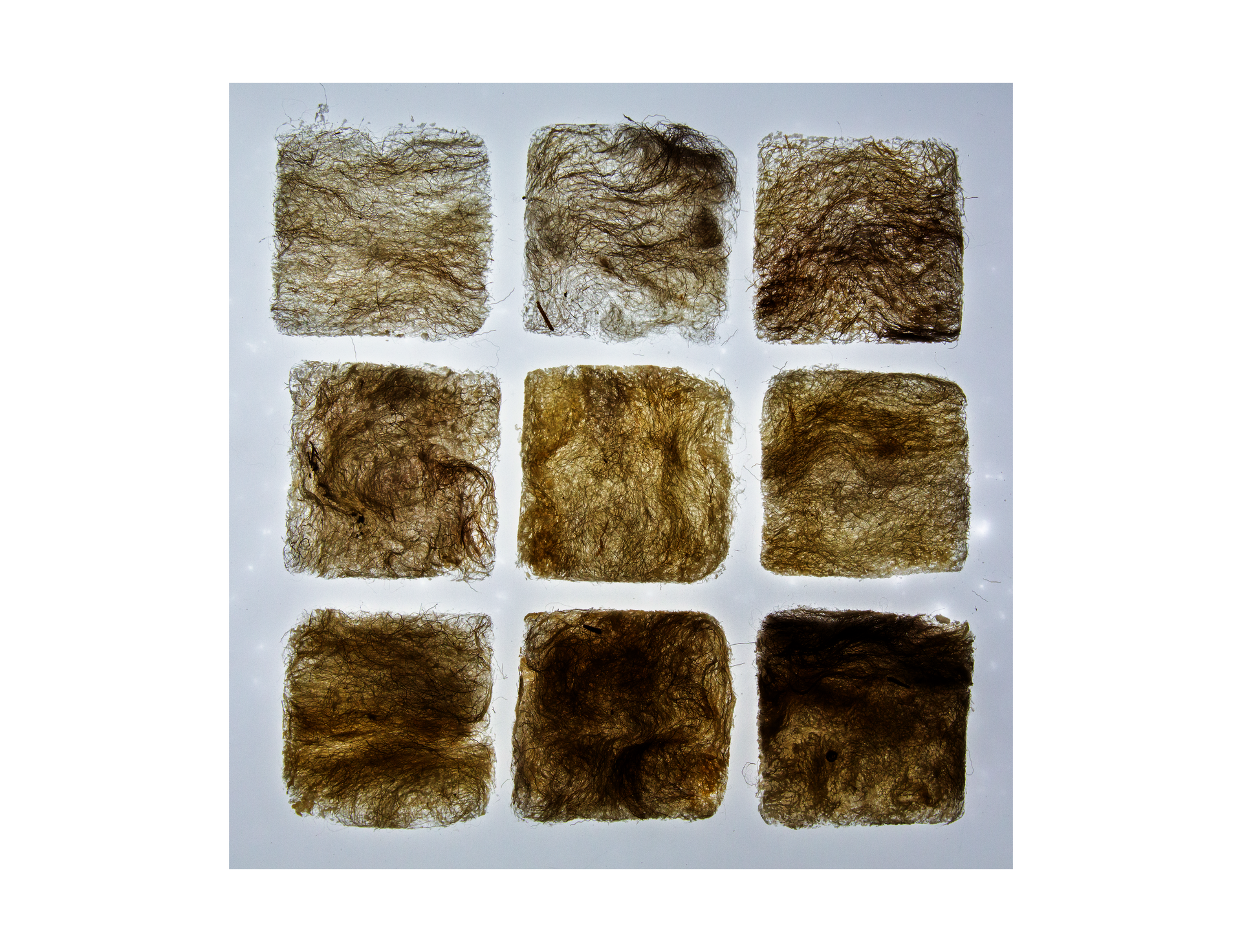 The combination of salt and wool creates a unique filtration of light and transparency.