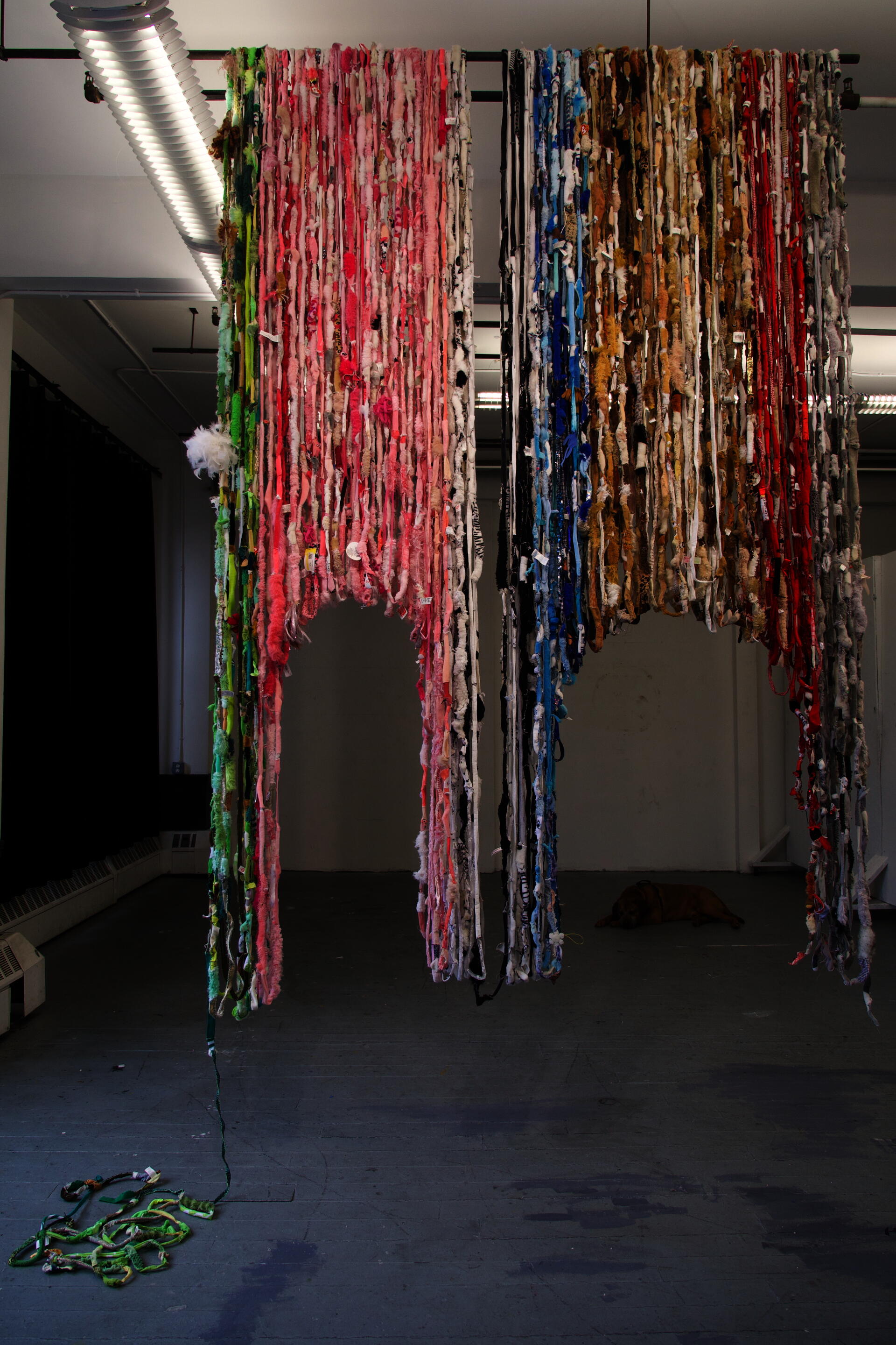 Stuffed animals cut up and sewn together into rope. Color coordinated in sections (from left to right): green, pink, black and white, blue, brown, red, and grey. The rope is looped repeatedly from the ceiling