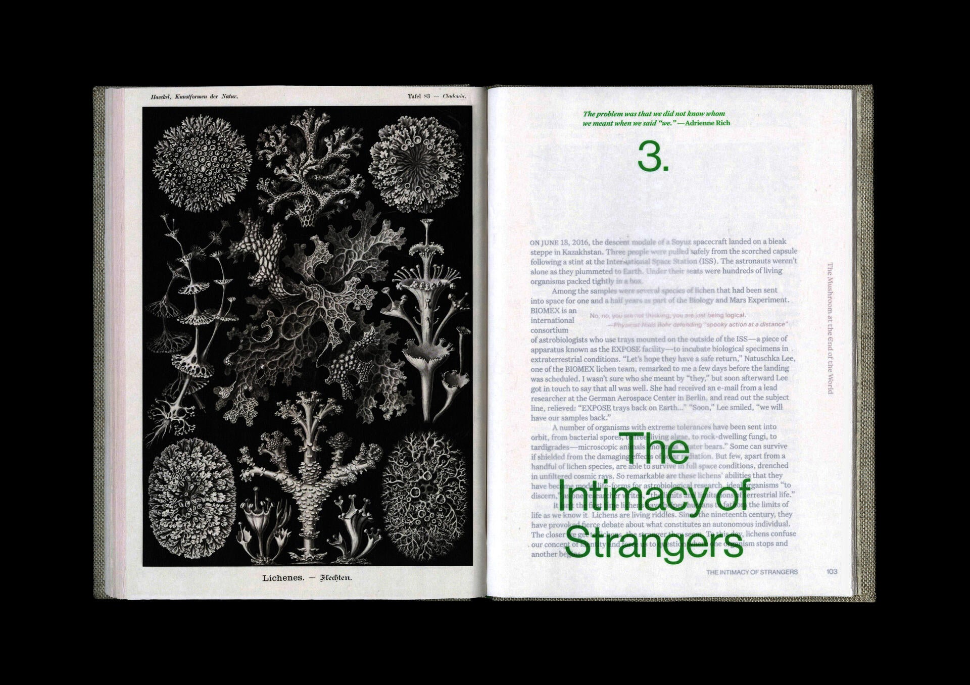 Open book pages with black-and-white image of lichen on the left page and green san-serif title on the right reading the name of the chapter and a quote.