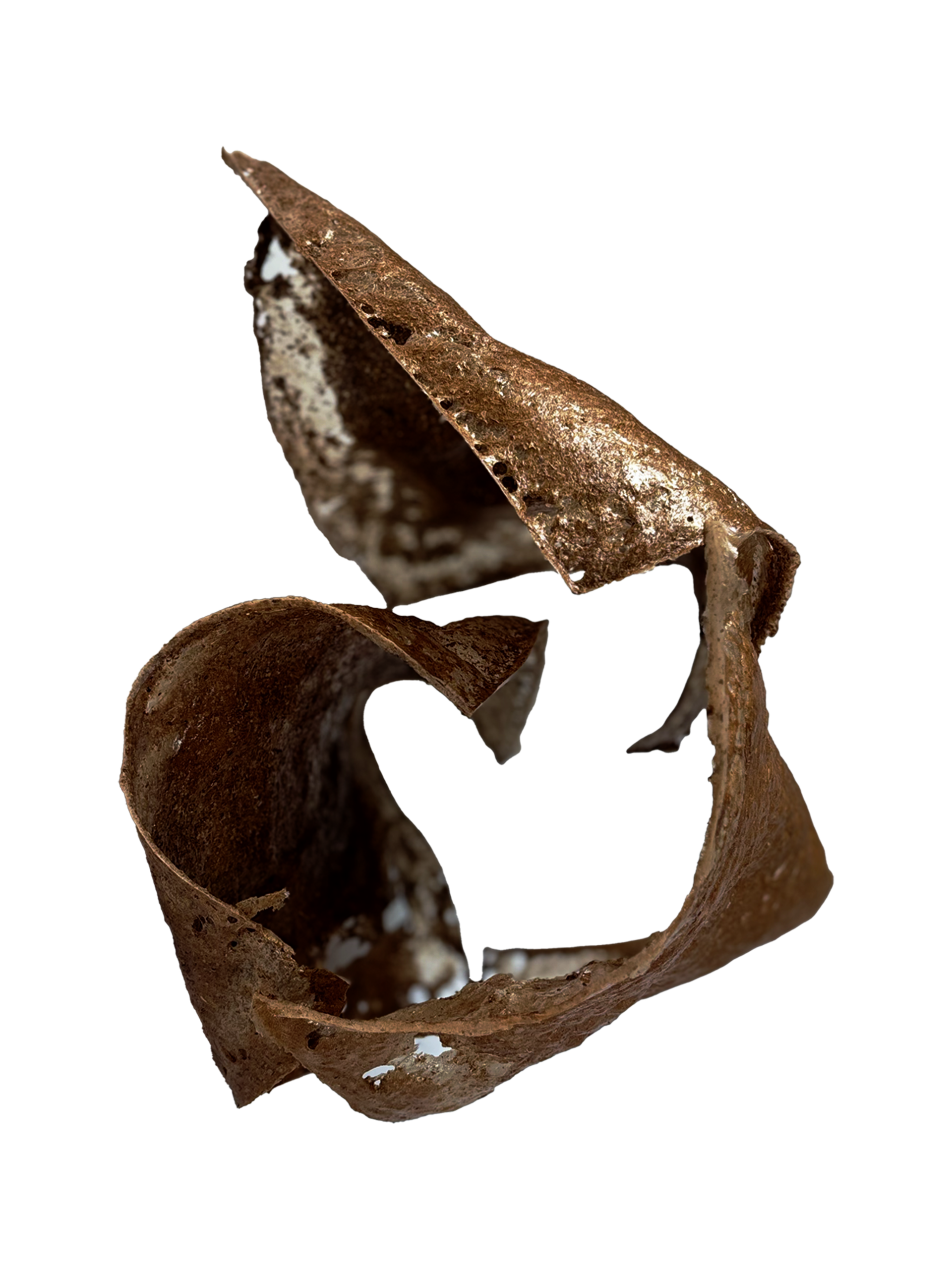 Three curled forms made of leaf bio-composite, warm brown and translucent in places,  arranged against a black background. They twist and coil at different angles, overlapping slightly.
