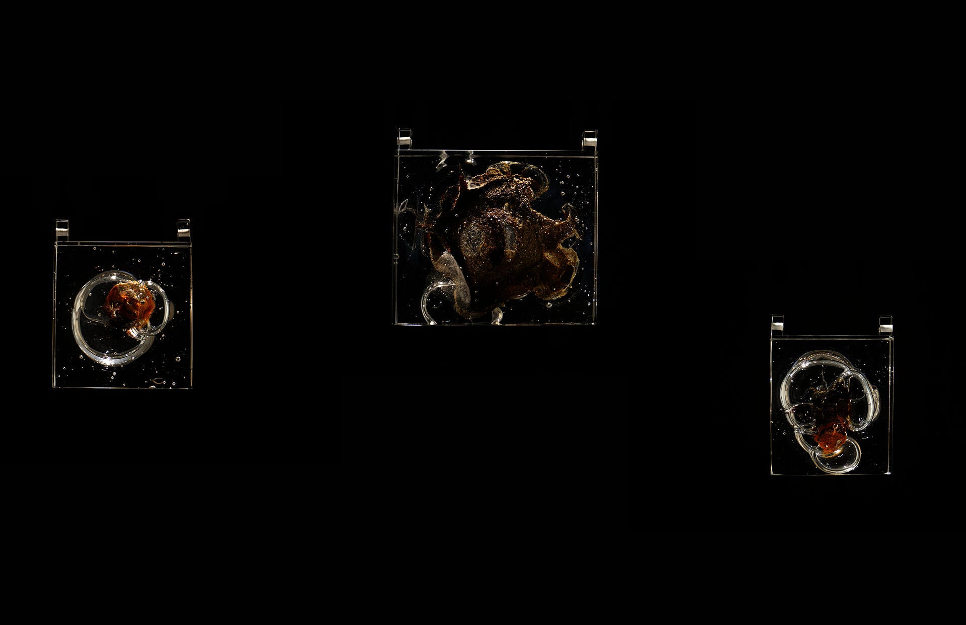 Three transparent glass blocks each containing an irregular organic form suspended inside, displayed against a dark background.