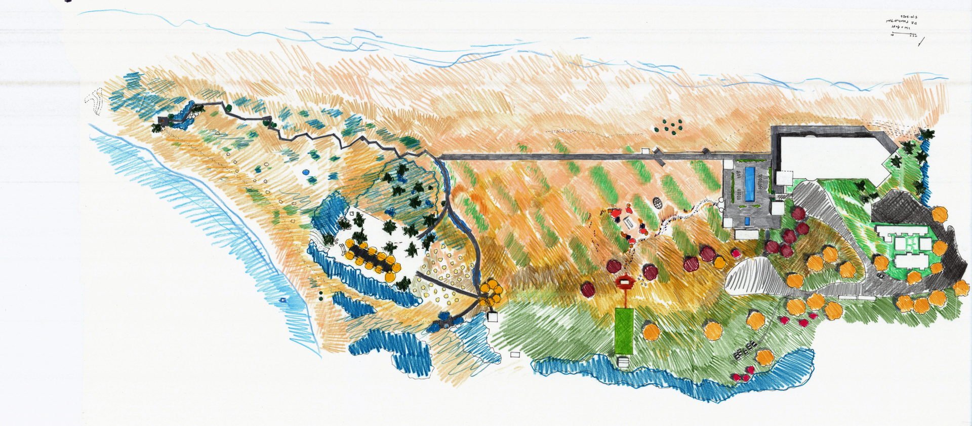 Colored pencil site plan of Dunes Club showing proposed planting, circulation, and program without hardened coastal structures.
