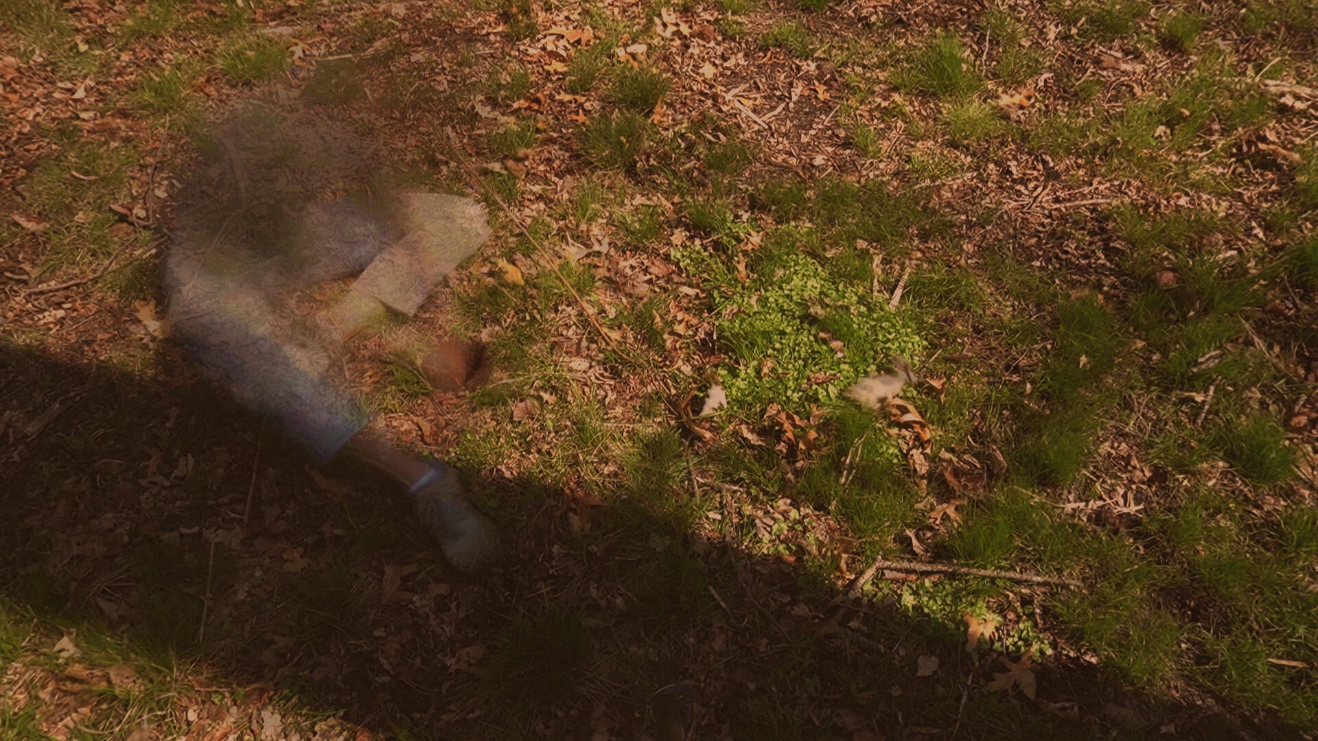 A person sits on a forest floor covered with grass and leaves while shaping a bowl-like form in the ground by hand.