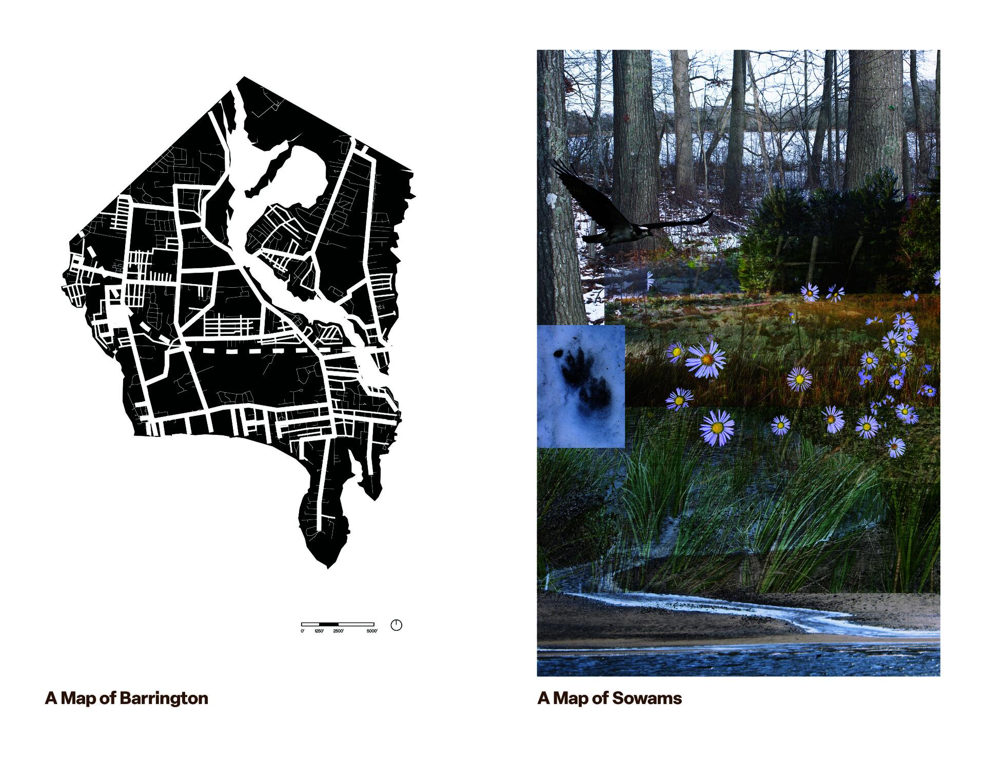 On the left, a black and white map shows streets and waterways, labeled "A Map of Barrington". On the right, a collage depicts the same landscape with images of trees, daisies, a bird in flight, and a paw print, labeled "A Map of Sowams."
