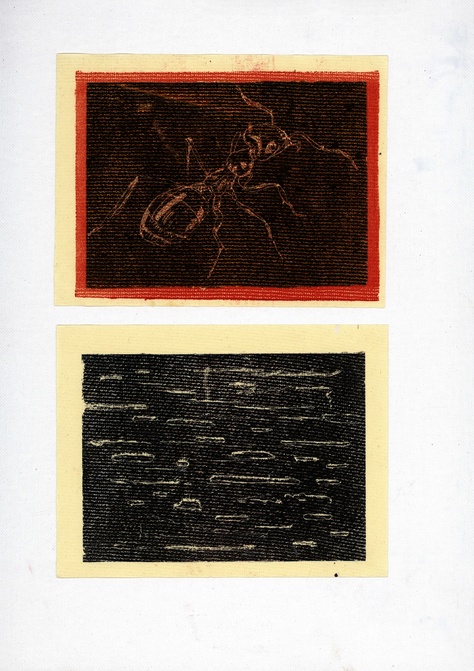 Two small prints on cream paper, presented together. The upper print shows a large ant rendered in red-brown lines on a dark golden background with a coral-red border. The ant's body and legs are drawn with loose marks