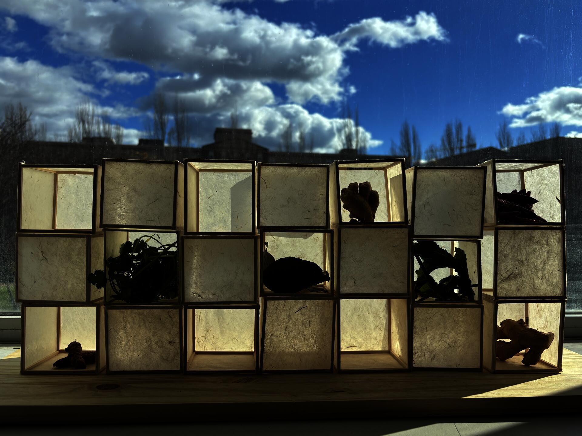 Cubes made of translucent Lokta paper are stacked to create a wall. Nestled inside each cube are spices (ginger, tumeric, chili, mint, and kaffir lime) creating a spice wall.