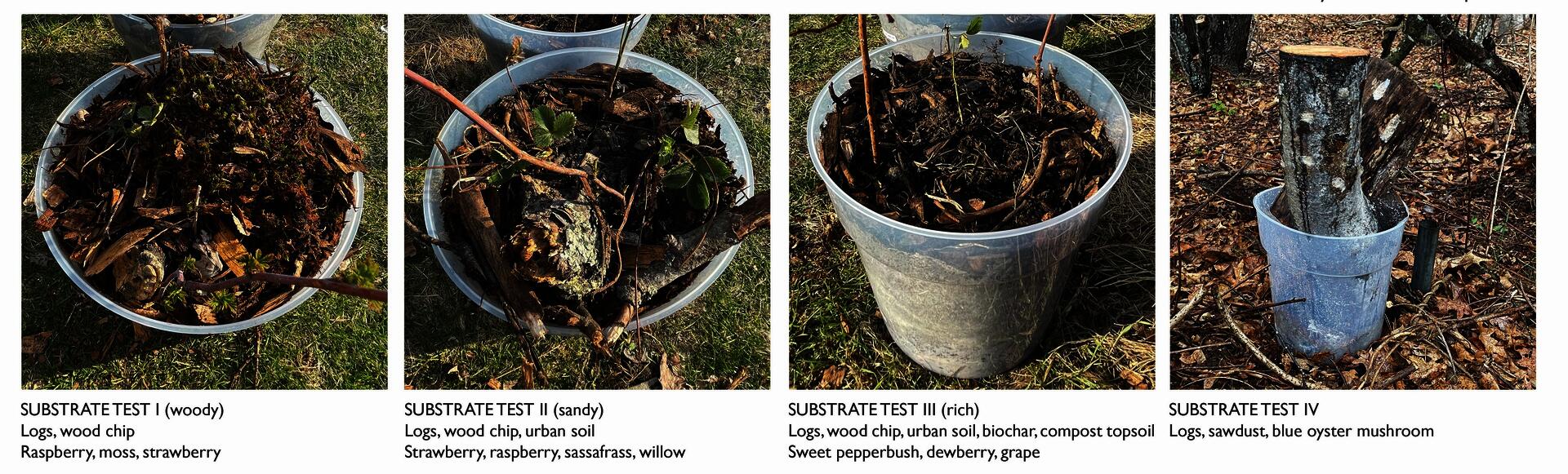 These planters tested the establishment of native species in substrates with differing proportions of landscape 'waste' and urban soils. The landscape 'waste' includes logs, branches, arborist wood chips, construction soil, gravel, and compost. The species tested include fox grape, dewberry, strawberry, willow, buttonbush, sweet pepperbush, willow, sassafrass, raspberry, club moss, and blue oyster mushroom.