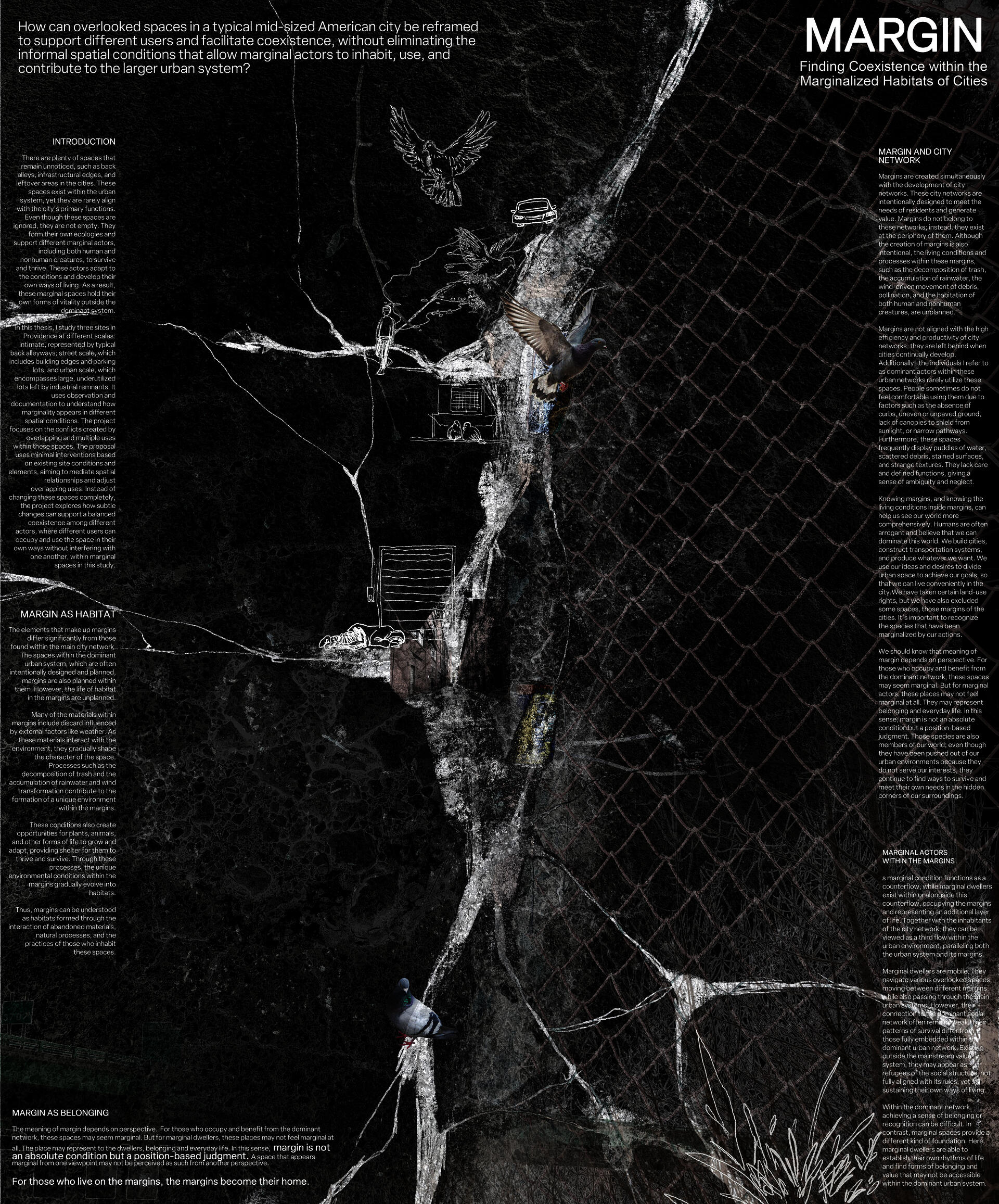 A dark background with a white crack, collaged with hand-drawn street scenes, pigeons, plants, photos of a fence, and white text about overlooked urban spaces and coexistence. 