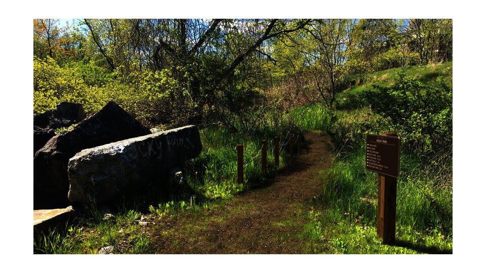 Landscape Rendering 1