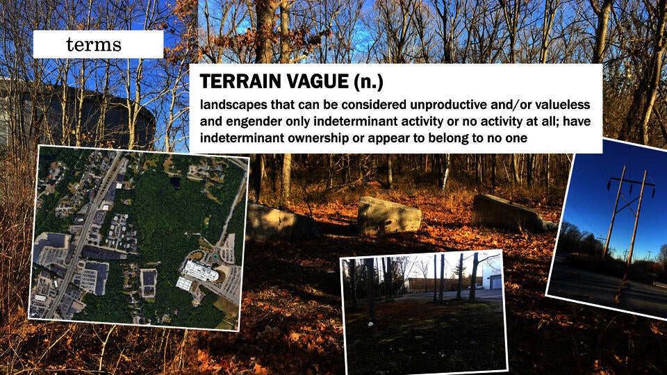 Terrain Vague Definition