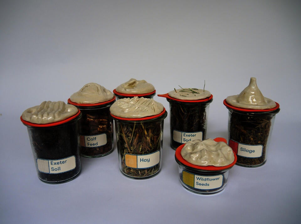 specimens