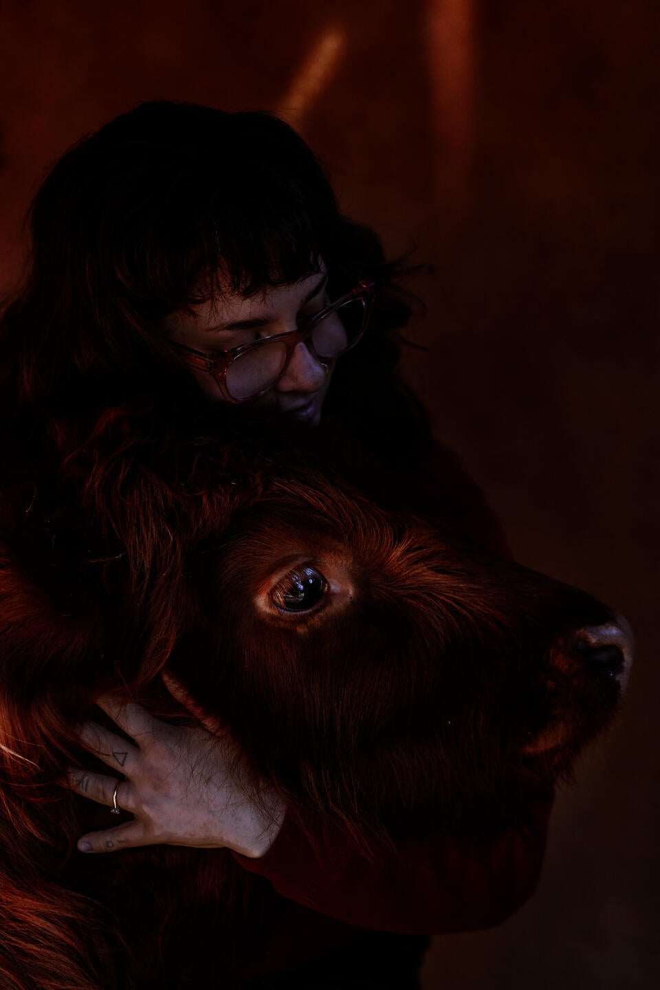 friend and horse