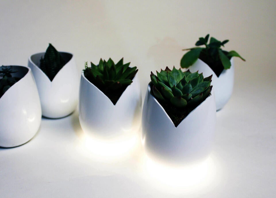 Industrial Design project by Alice Kim