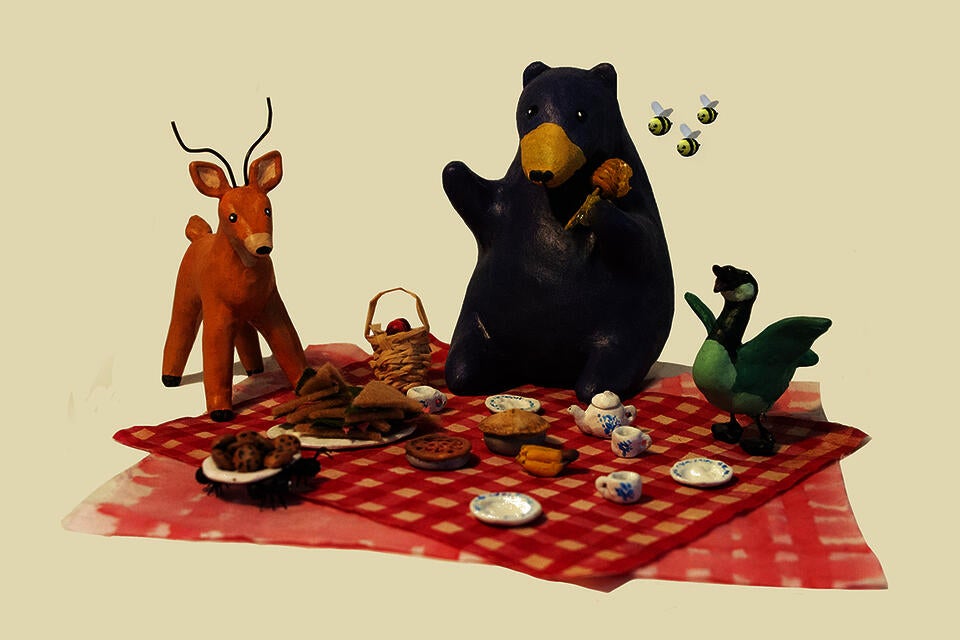 Illustration project by Ceili Conway