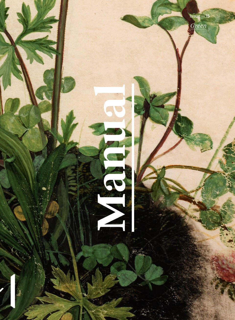 Cropped painting of a cluster of buttercup, red clover, and plantain flowers on cream colored paper with the word 'Manual' overlaid vertically in the center