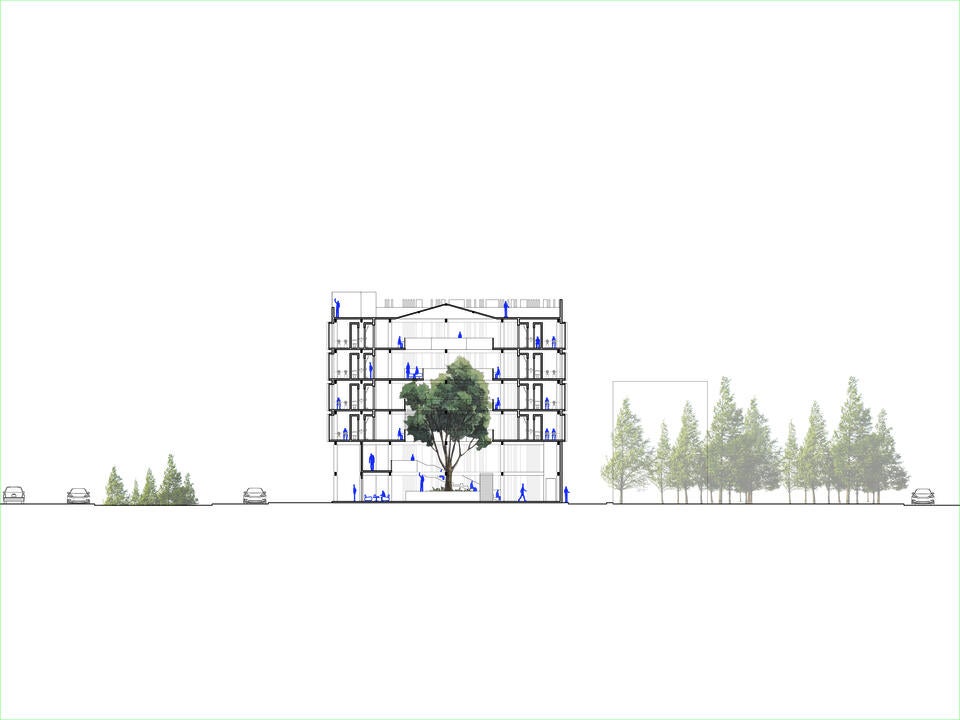 North-South Section