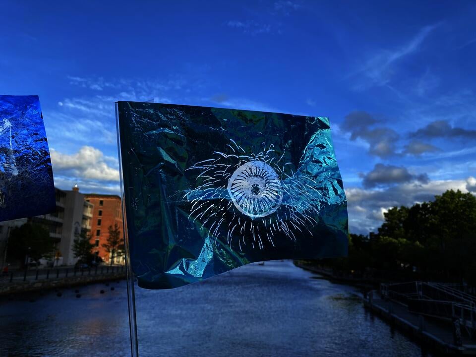 firework jellyfish