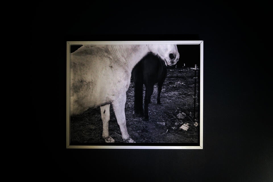 installationshot