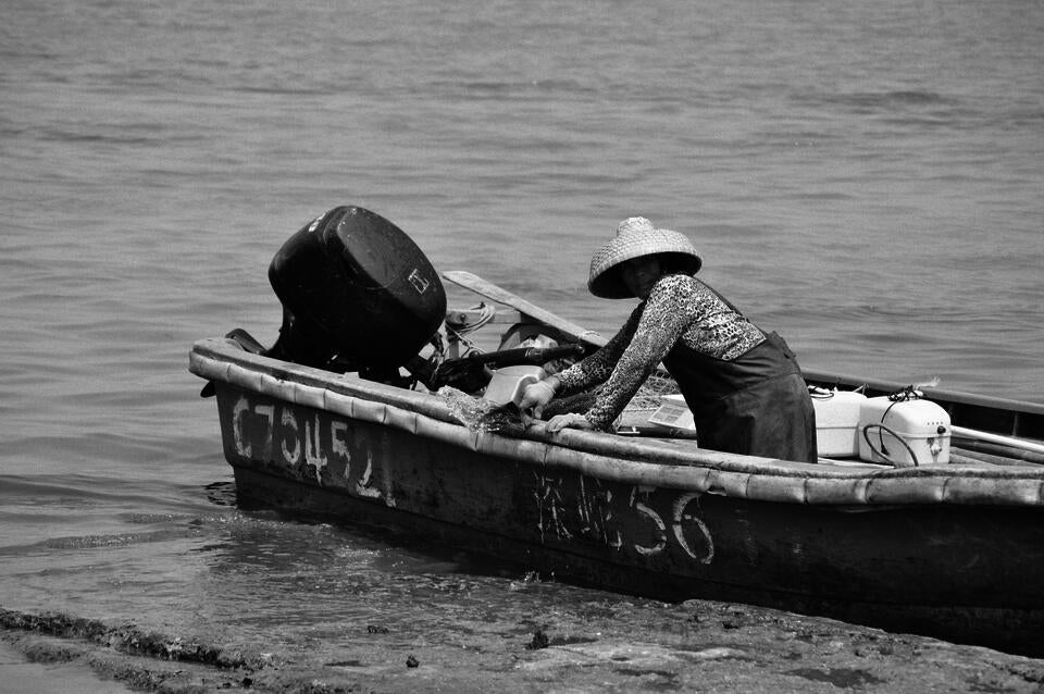 local oyster farmer_4