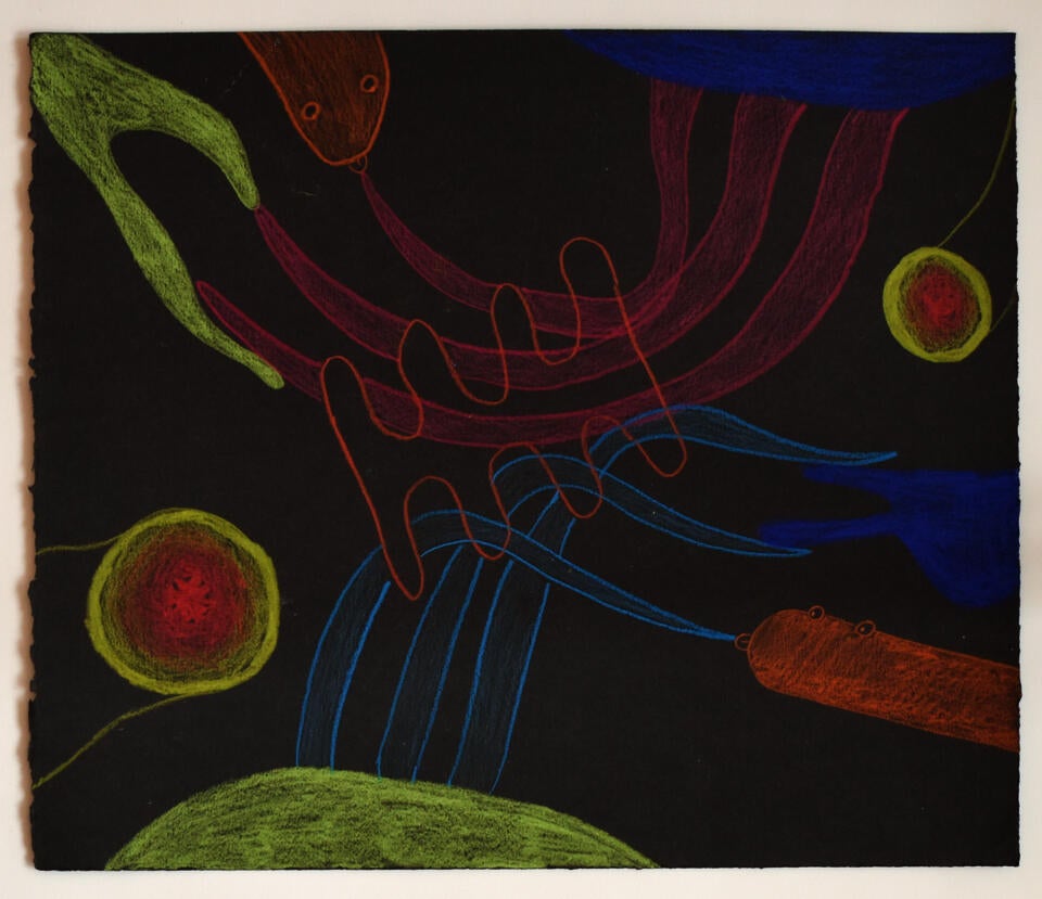 drawing