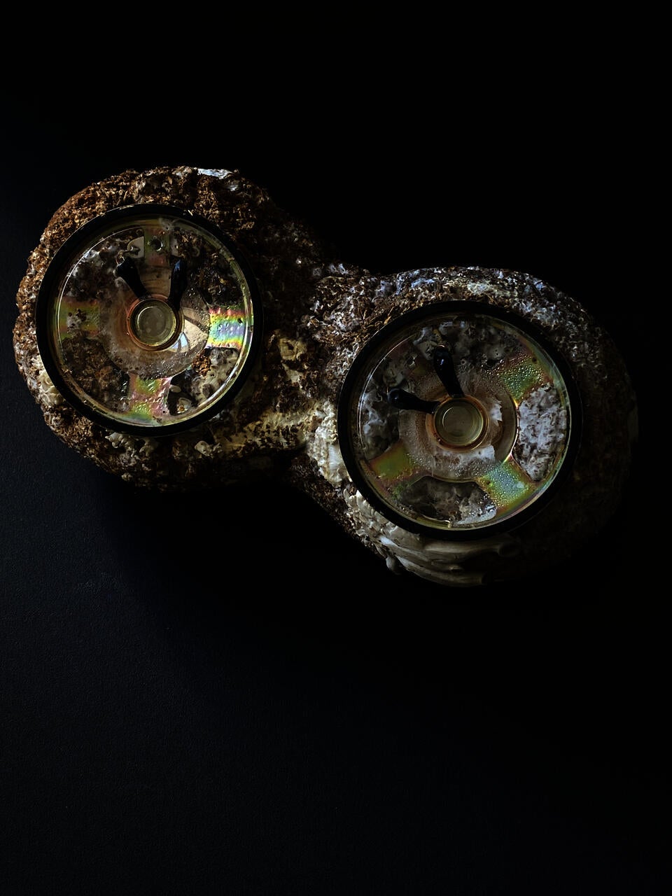 Mycelium Speaker
