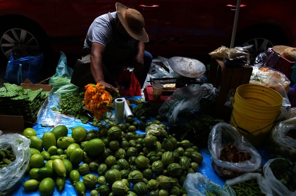 Farmer selling native crops in urban sidewalk