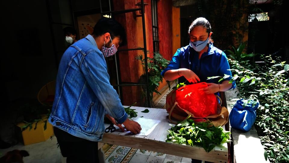 Casa Gallina member providing quelites to a neighbor
