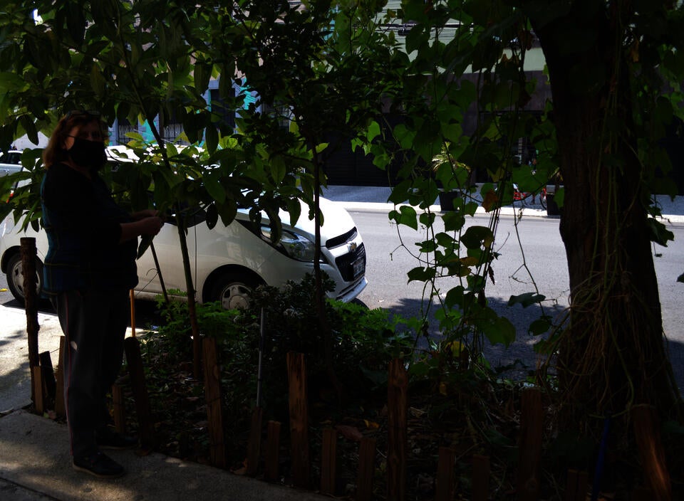 Ms. Anne showing her edible garden in the sidewalk