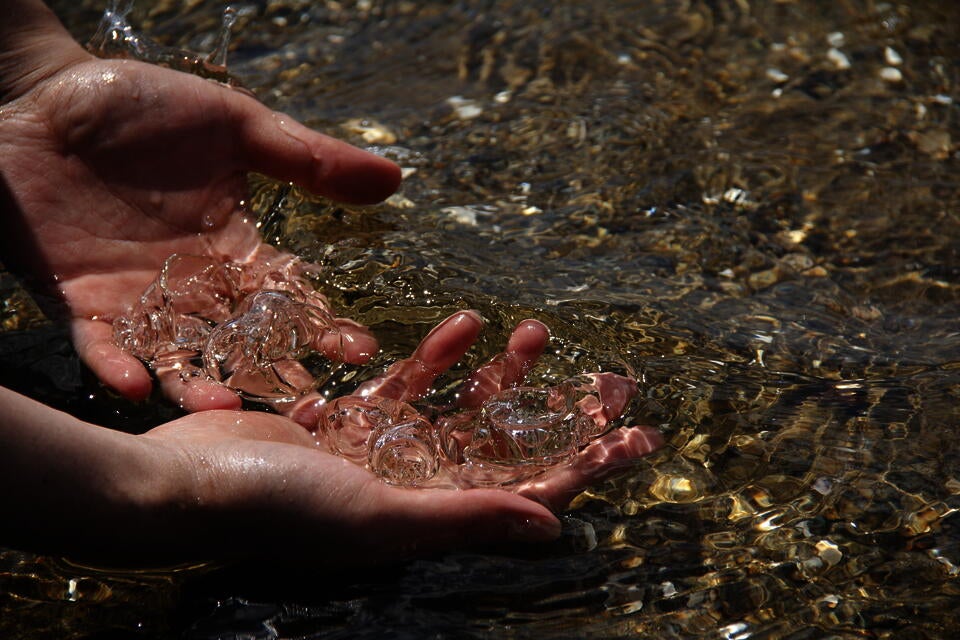 I held glass shells in my hands in the sea 