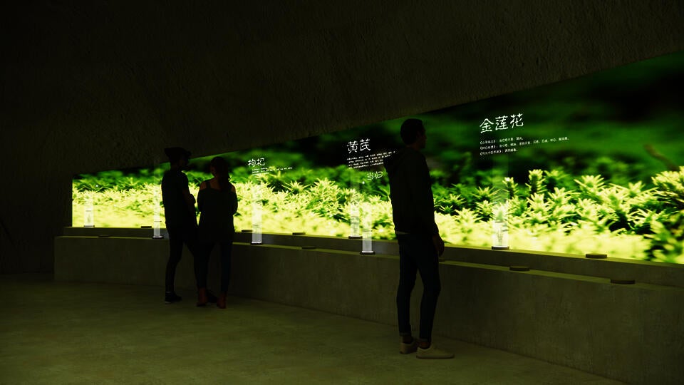  TCM Exhibition：Mind Refreshment- Kinship Between Plant