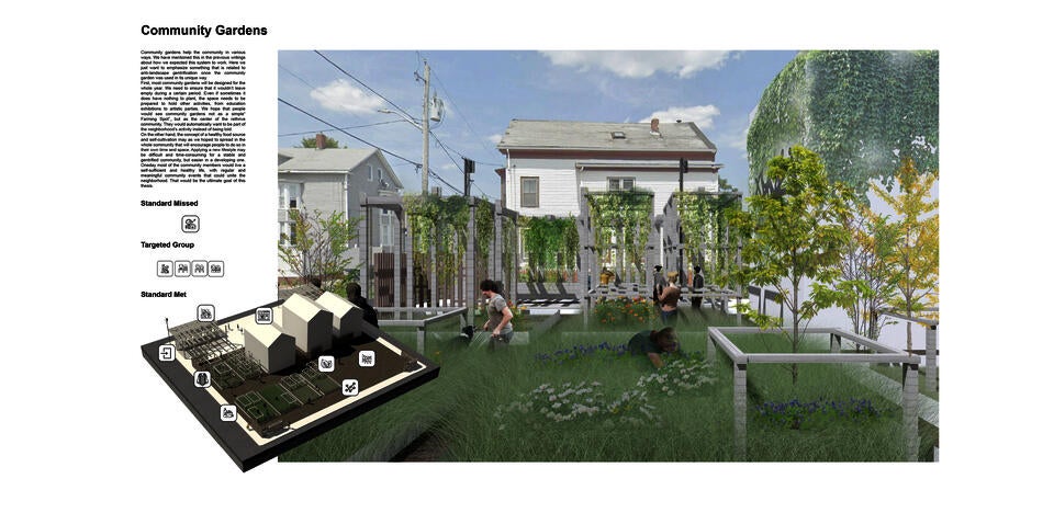 community garden 2