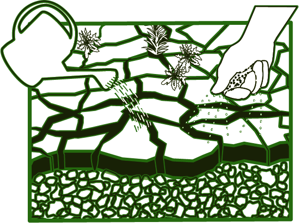 Crocodile crack cultivation diagram 3