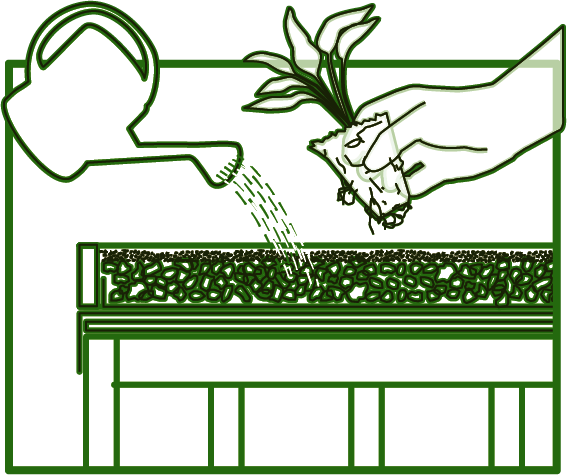 green roof diagram 4