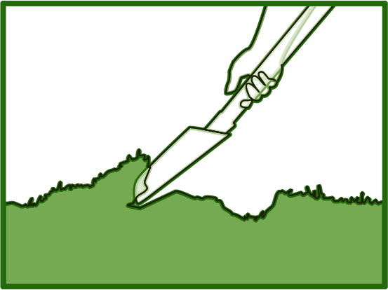 meadow diagram 1