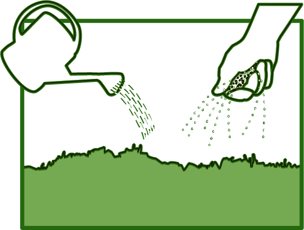 meadow diagram 3