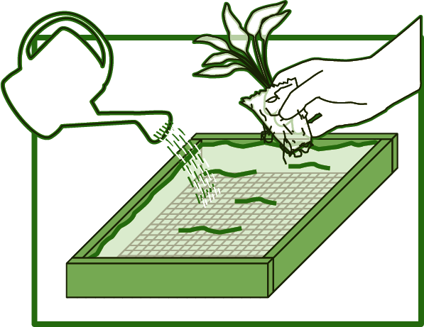 Building a raised bed, image 4