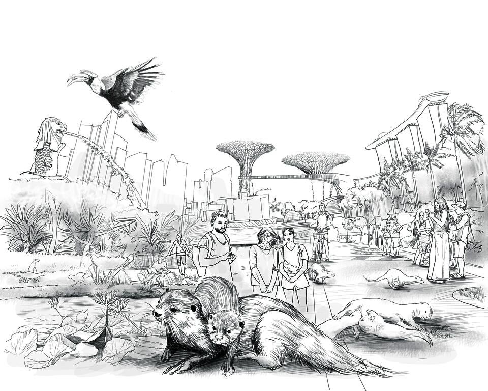 singapore existing sketch